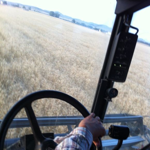 Meet your Posher, Josie - Picture 2 of 2